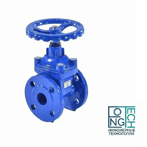 Задвижка фланцевая чугунная  с обрезиненным клином 30ч39р аналог МЗВ Benarmo Ду40-600 Ру10/16 Задвижка фланцевая чугунная  с обрезиненным клином 30ч39р аналог МЗВ Benarmo Ду40-600 Ру10/16 Москва