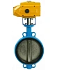 Затвор дисковый поворотный DN.ru WBV1413E-2W-Fb-H Ду300 Ру16, корпус - чугун GGG50, диск - чугун GGG40, уплотнение - EPDM, с электроприводом DN.ru QT-N-060EM-A1-220VAC-У1 220В (4-20мА) HARK Москва