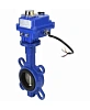 Затвор дисковый поворотный DN.ru WBV1432E-2W-Fb-H Ду50 Ру16, корпус - чугун GGG50, диск - нержавеющая сталь 316L, уплотнение - EPDM, с электроприводом DN.ru QT-N-003EM-O1-12VDC-У1 blue 12В Москва