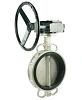 Затвор дисковый поворотный DN.ru WBV3232E-2W-Fb-H Ду80 Ру16 межфланцевый, корпус - нержавеющая сталь 316L, диск - нержавеющая сталь 316L, уплотнение - EPDM, с редуктором RDN RQN1-150Z-T24 Москва